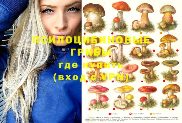 сатива Алзамай