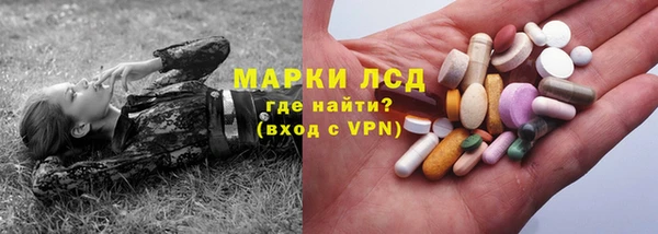 сатива Алзамай