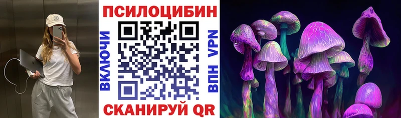 наркошоп  Джанкой  Галлюциногенные грибы Cubensis 
